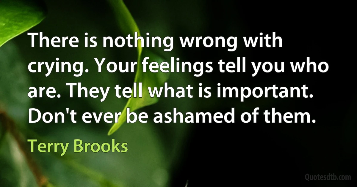 There is nothing wrong with crying. Your feelings tell you who are. They tell what is important. Don't ever be ashamed of them. (Terry Brooks)