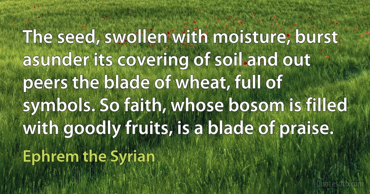 The seed, swollen with moisture, burst asunder its covering of soil and out peers the blade of wheat, full of symbols. So faith, whose bosom is filled with goodly fruits, is a blade of praise. (Ephrem the Syrian)