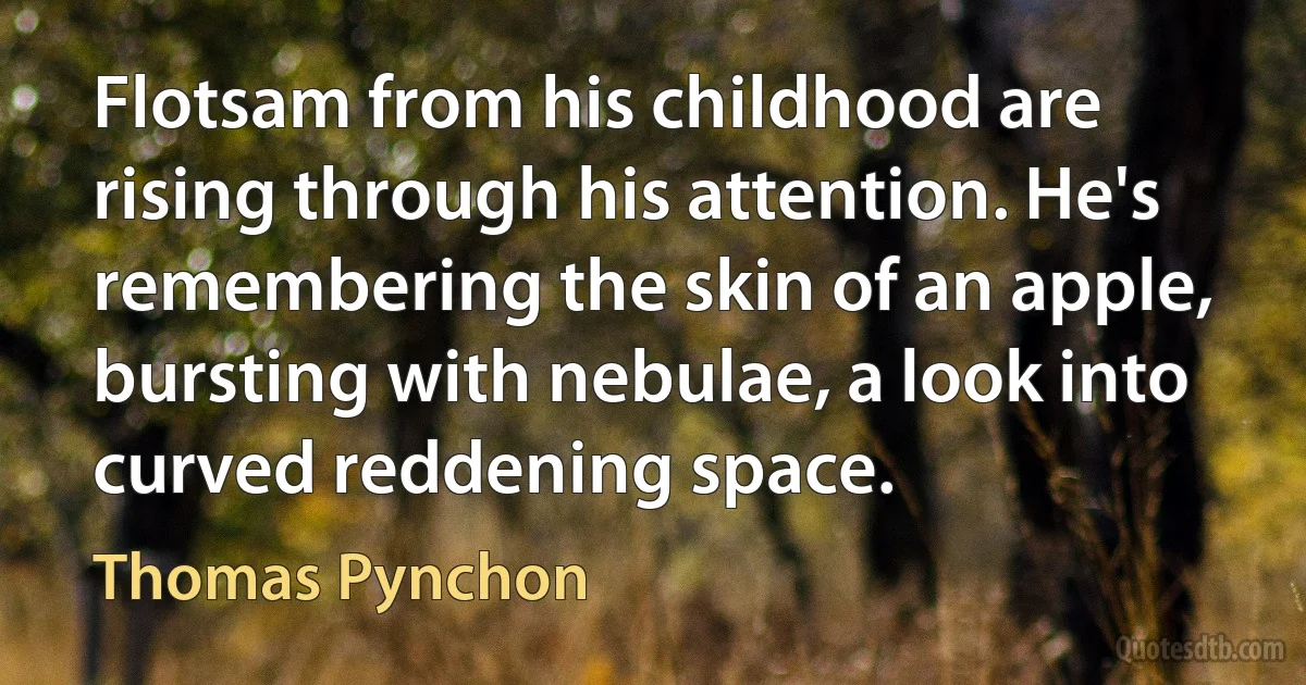 Flotsam from his childhood are rising through his attention. He's remembering the skin of an apple, bursting with nebulae, a look into curved reddening space. (Thomas Pynchon)