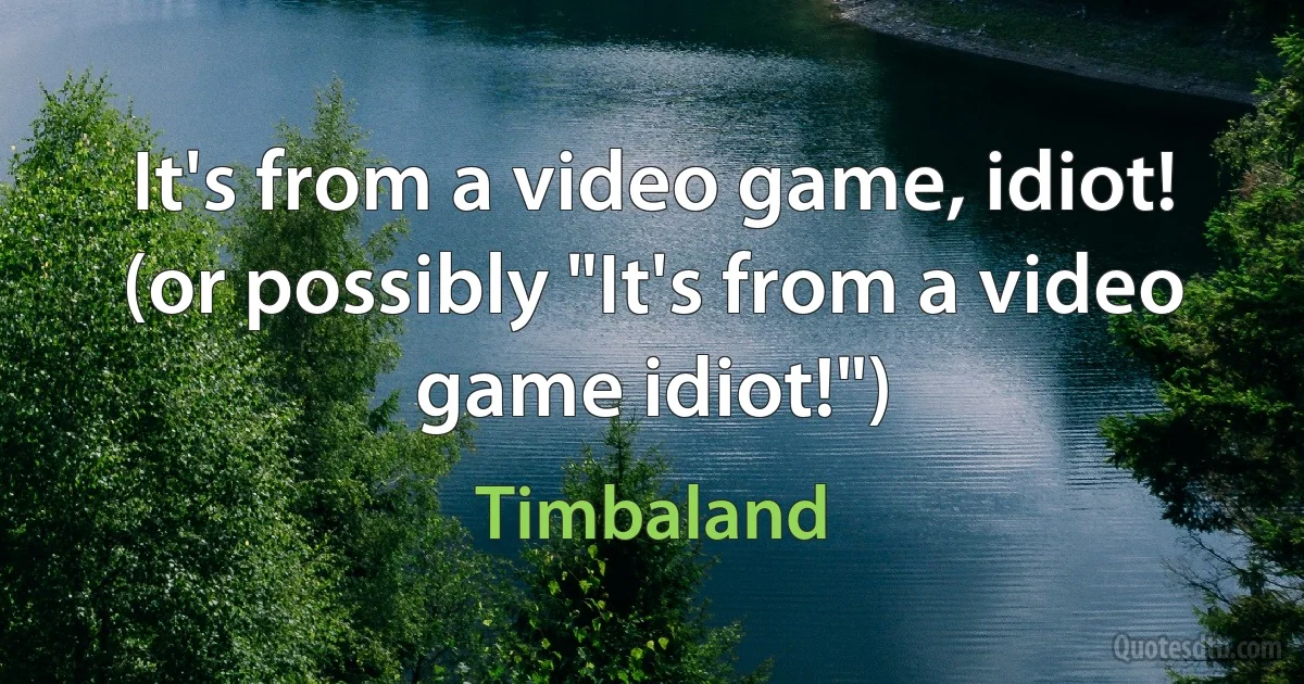 It's from a video game, idiot! (or possibly "It's from a video game idiot!") (Timbaland)