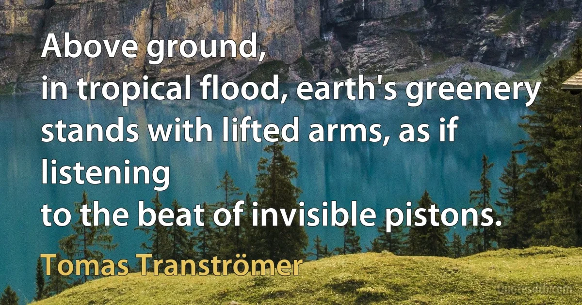 Above ground,
in tropical flood, earth's greenery
stands with lifted arms, as if listening
to the beat of invisible pistons. (Tomas Tranströmer)