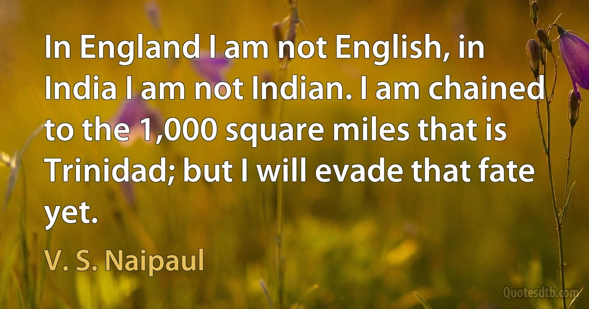 In England I am not English, in India I am not Indian. I am chained to the 1,000 square miles that is Trinidad; but I will evade that fate yet. (V. S. Naipaul)