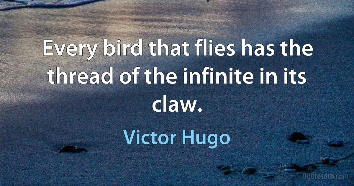 Every bird that flies has the thread of the infinite in its claw. (Victor Hugo)