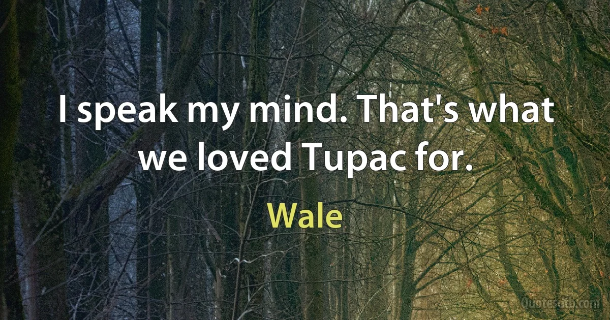 I speak my mind. That's what we loved Tupac for. (Wale)