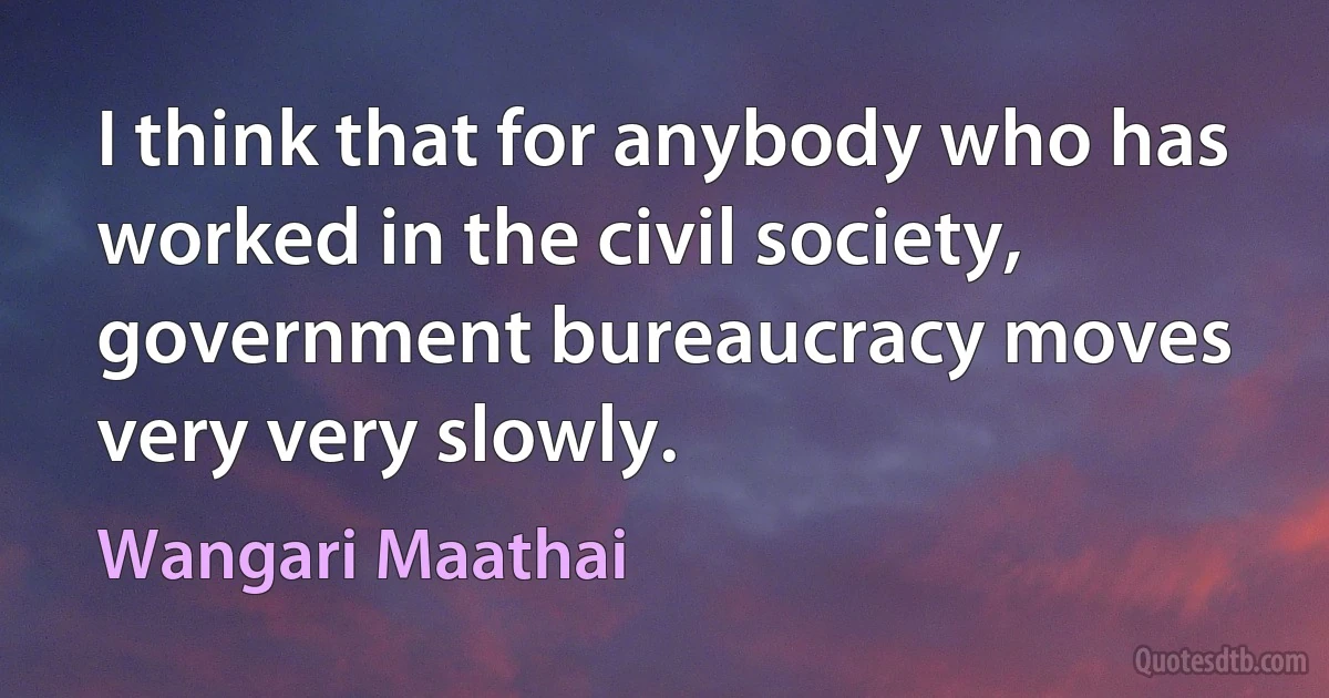 I think that for anybody who has worked in the civil society, government bureaucracy moves very very slowly. (Wangari Maathai)