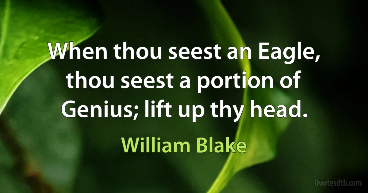 When thou seest an Eagle, thou seest a portion of Genius; lift up thy head. (William Blake)