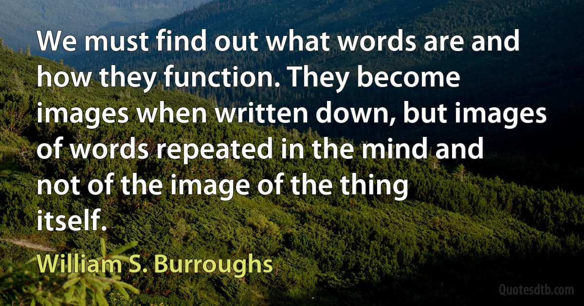 We must find out what words are and how they function. They become images when written down, but images of words repeated in the mind and not of the image of the thing itself. (William S. Burroughs)