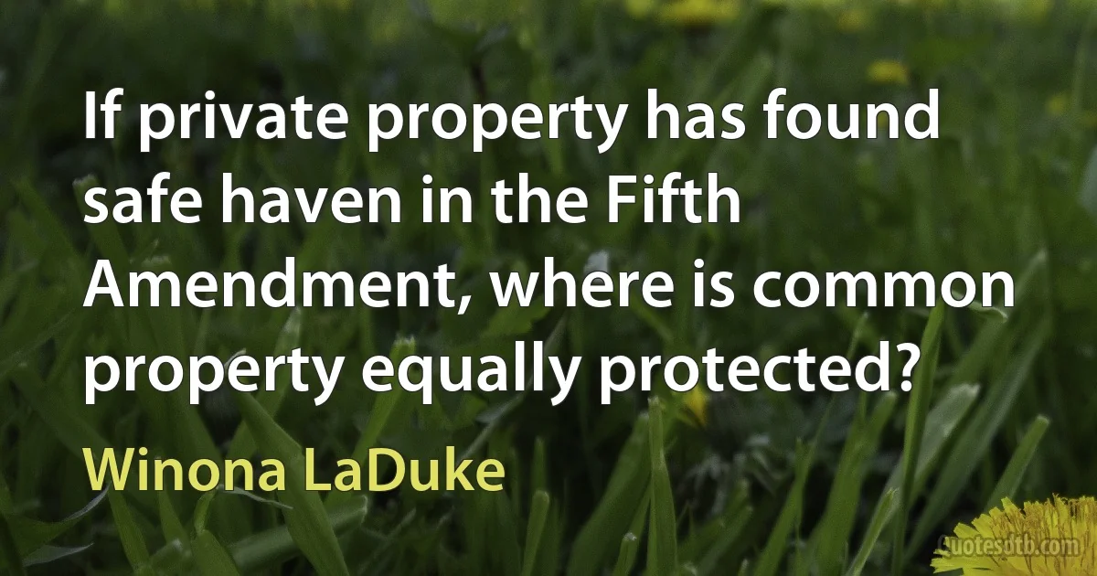 If private property has found safe haven in the Fifth Amendment, where is common property equally protected? (Winona LaDuke)