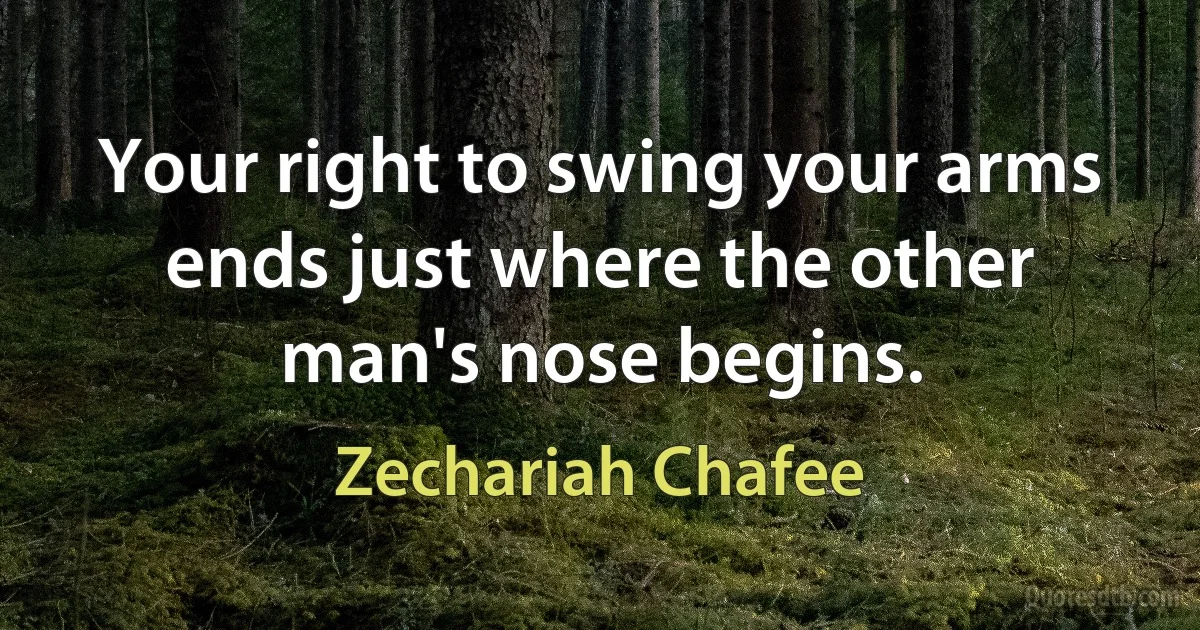 Your right to swing your arms ends just where the other man's nose begins. (Zechariah Chafee)