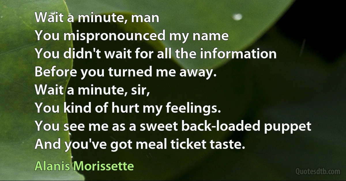 Wait a minute, man
You mispronounced my name
You didn't wait for all the information
Before you turned me away.
Wait a minute, sir,
You kind of hurt my feelings.
You see me as a sweet back-loaded puppet
And you've got meal ticket taste. (Alanis Morissette)