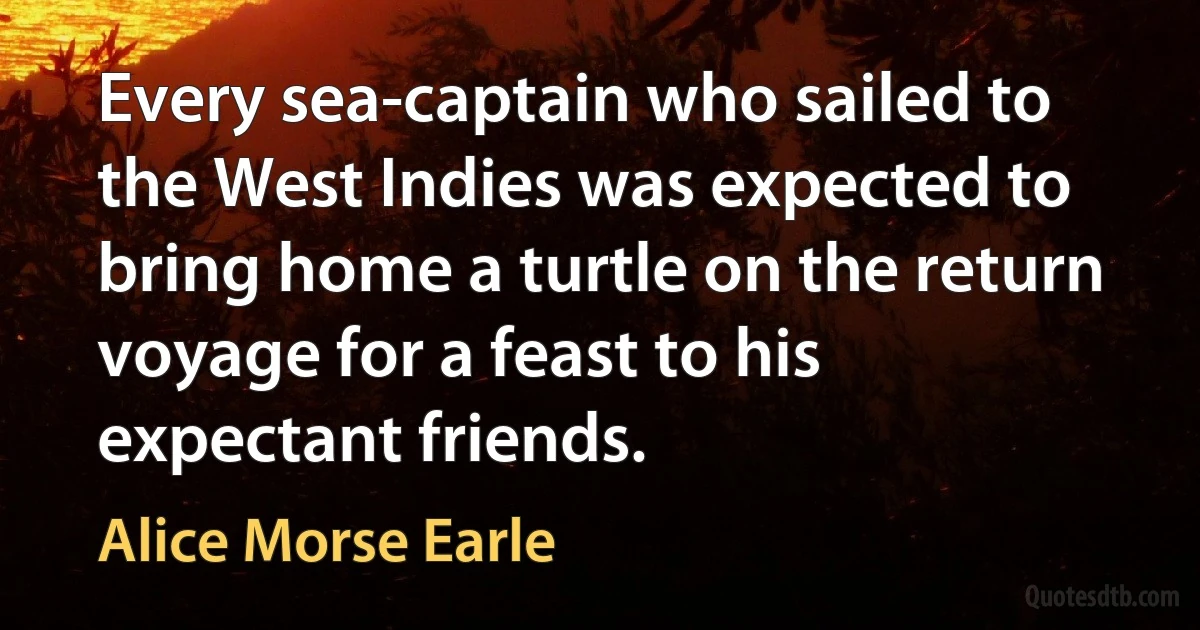 Every sea-captain who sailed to the West Indies was expected to bring home a turtle on the return voyage for a feast to his expectant friends. (Alice Morse Earle)