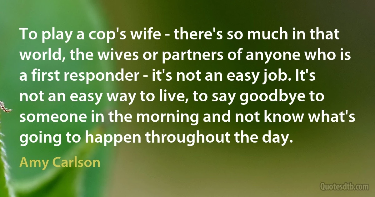 To play a cop's wife - there's so much in that world, the wives or partners of anyone who is a first responder - it's not an easy job. It's not an easy way to live, to say goodbye to someone in the morning and not know what's going to happen throughout the day. (Amy Carlson)