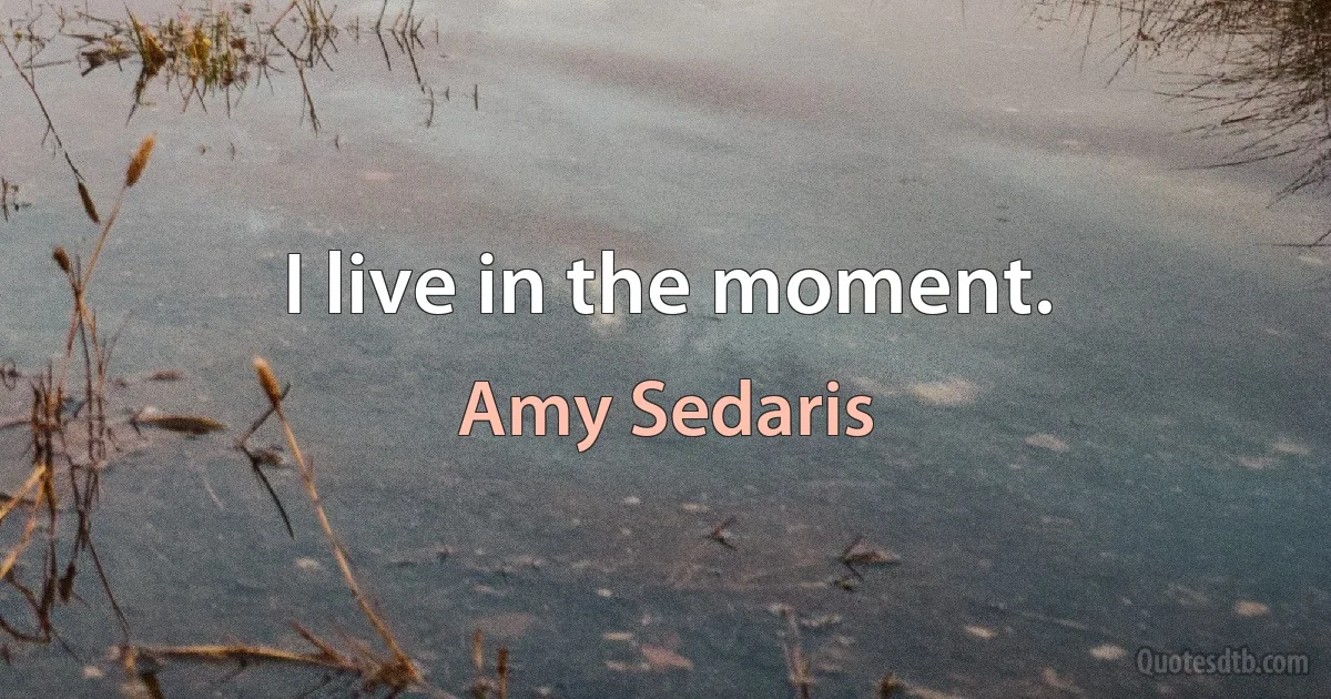 I live in the moment. (Amy Sedaris)