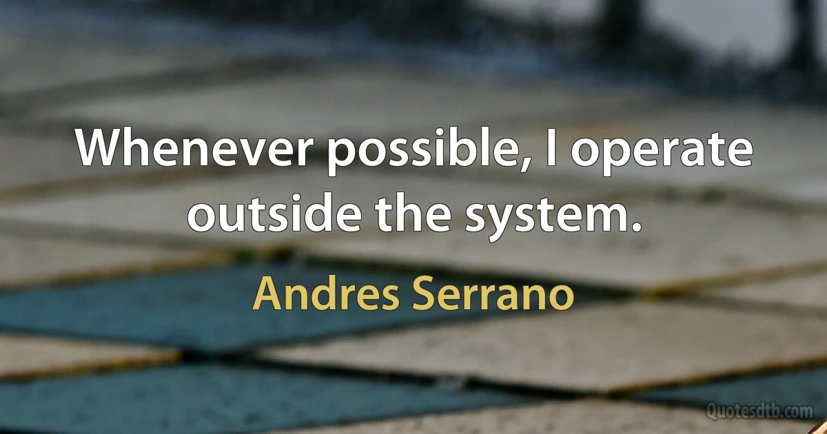 Whenever possible, I operate outside the system. (Andres Serrano)