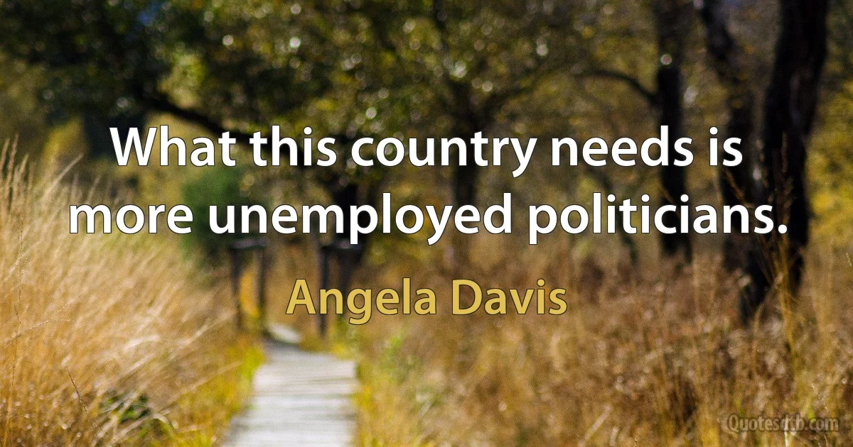 What this country needs is more unemployed politicians. (Angela Davis)