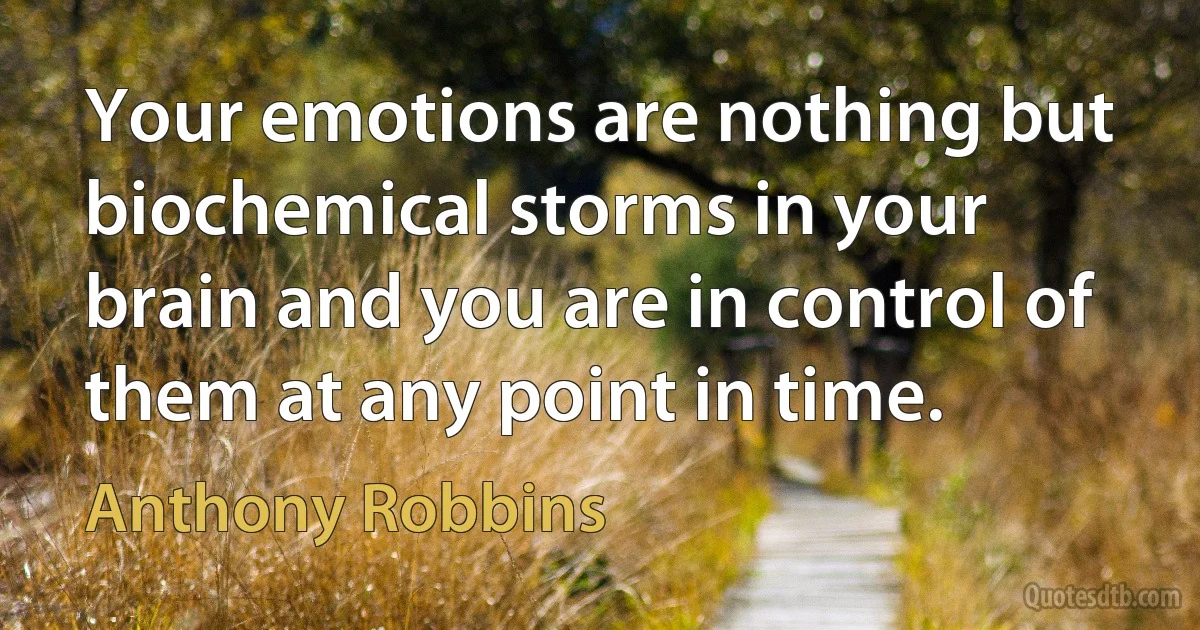 Your emotions are nothing but biochemical storms in your brain and you are in control of them at any point in time. (Anthony Robbins)