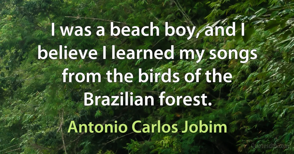 I was a beach boy, and I believe I learned my songs from the birds of the Brazilian forest. (Antonio Carlos Jobim)