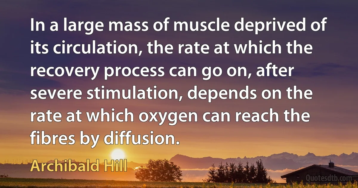 In a large mass of muscle deprived of its circulation, the rate at which the recovery process can go on, after severe stimulation, depends on the rate at which oxygen can reach the fibres by diffusion. (Archibald Hill)