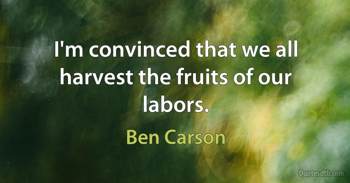 I'm convinced that we all harvest the fruits of our labors. (Ben Carson)