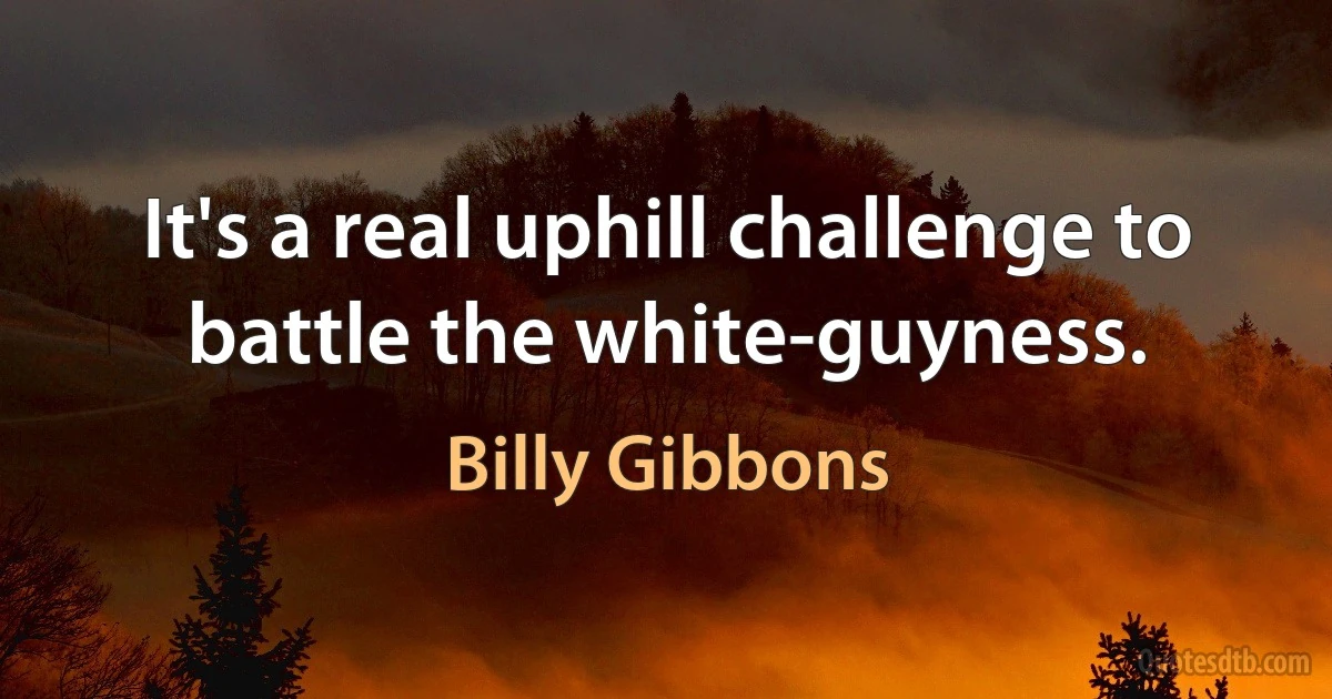 It's a real uphill challenge to battle the white-guyness. (Billy Gibbons)