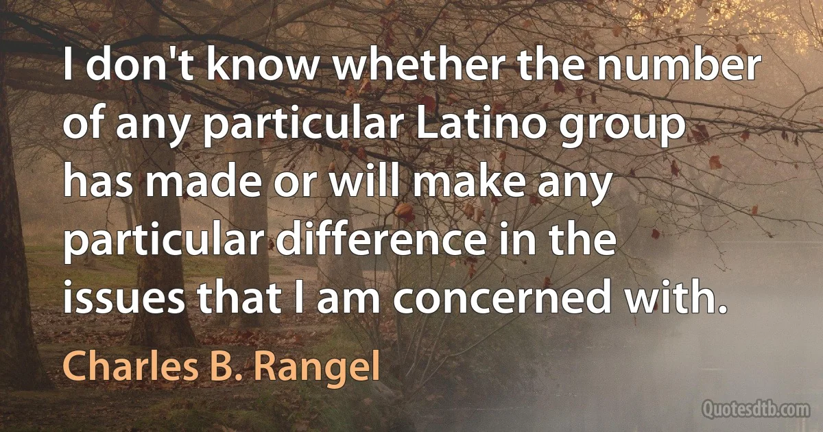 I don't know whether the number of any particular Latino group has made or will make any particular difference in the issues that I am concerned with. (Charles B. Rangel)