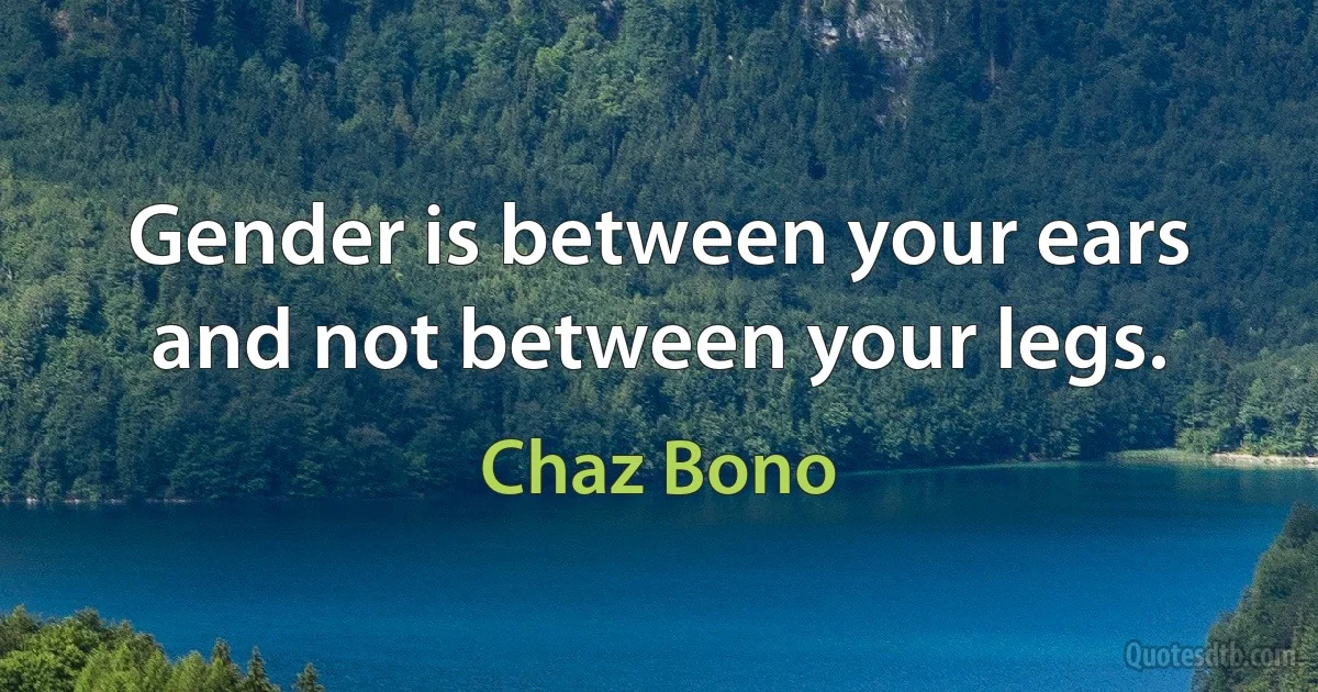 Gender is between your ears and not between your legs. (Chaz Bono)