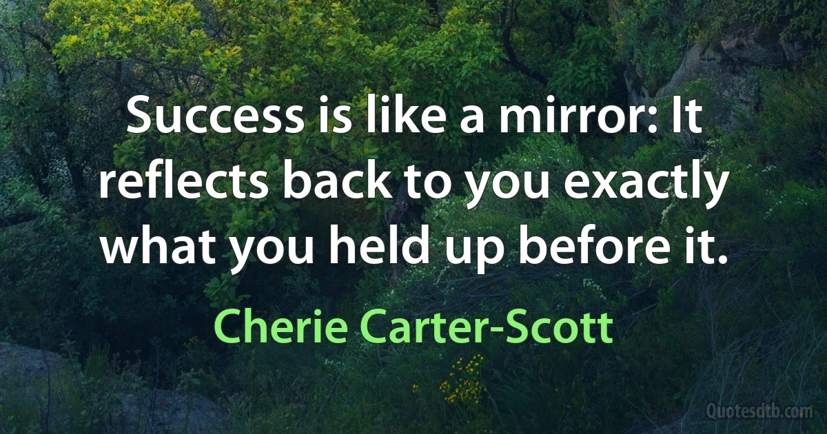 Success is like a mirror: It reflects back to you exactly what you held up before it. (Cherie Carter-Scott)