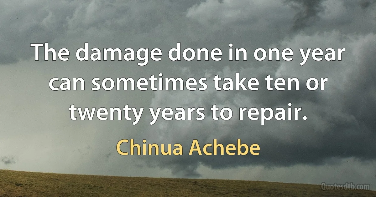 The damage done in one year can sometimes take ten or twenty years to repair. (Chinua Achebe)