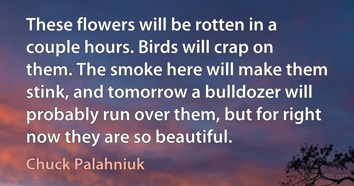 These flowers will be rotten in a couple hours. Birds will crap on them. The smoke here will make them stink, and tomorrow a bulldozer will probably run over them, but for right now they are so beautiful. (Chuck Palahniuk)