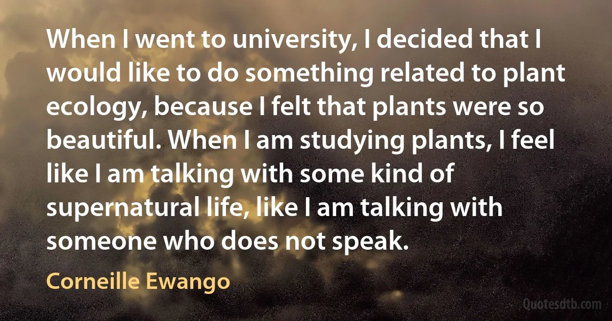 When I went to university, I decided that I would like to do something related to plant ecology, because I felt that plants were so beautiful. When I am studying plants, I feel like I am talking with some kind of supernatural life, like I am talking with someone who does not speak. (Corneille Ewango)