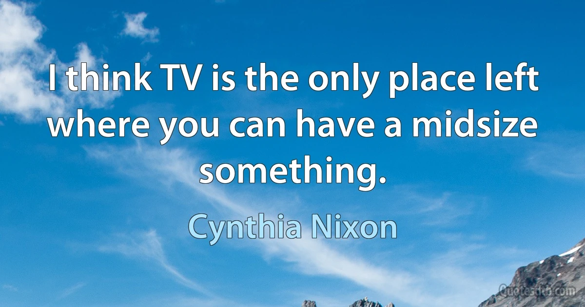 I think TV is the only place left where you can have a midsize something. (Cynthia Nixon)