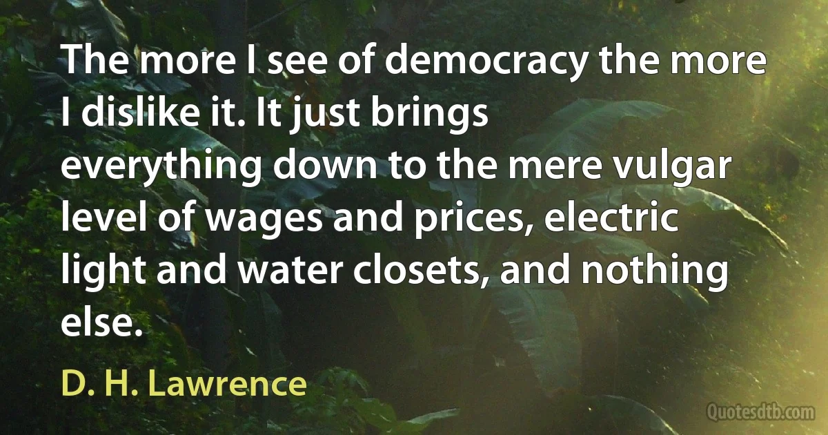 The more I see of democracy the more I dislike it. It just brings everything down to the mere vulgar level of wages and prices, electric light and water closets, and nothing else. (D. H. Lawrence)