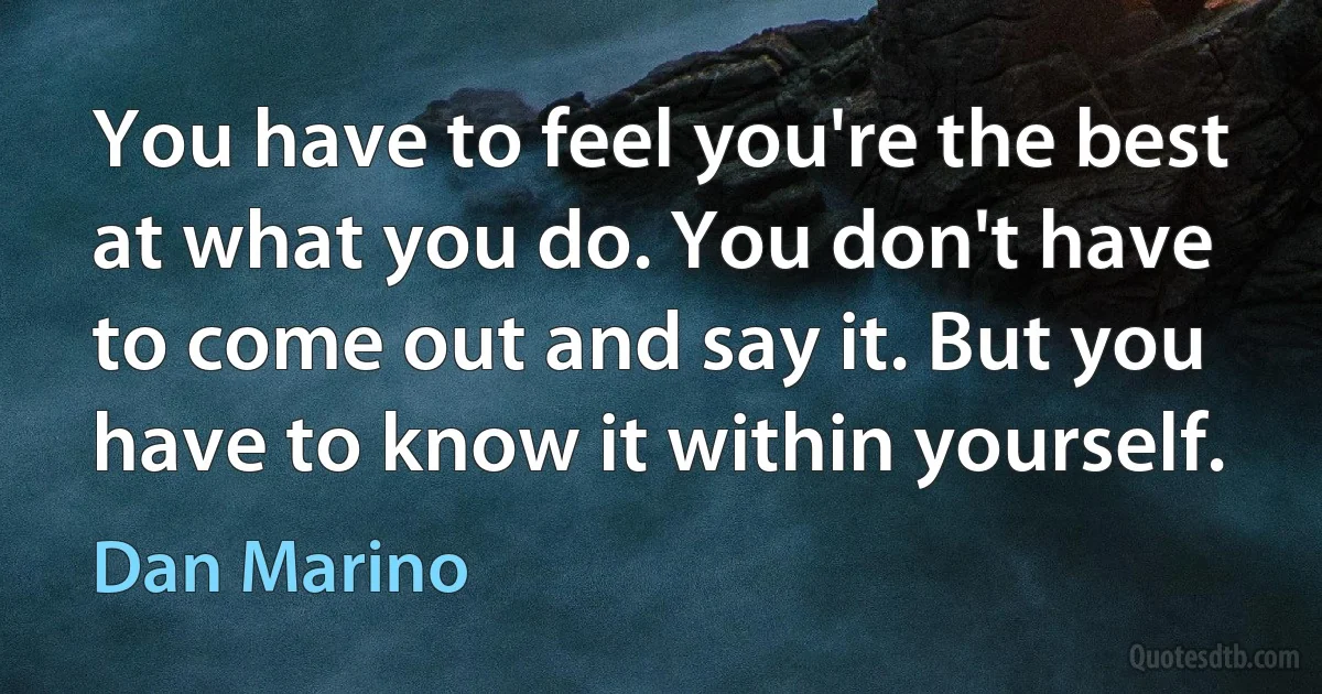 You have to feel you're the best at what you do. You don't have to come out and say it. But you have to know it within yourself. (Dan Marino)