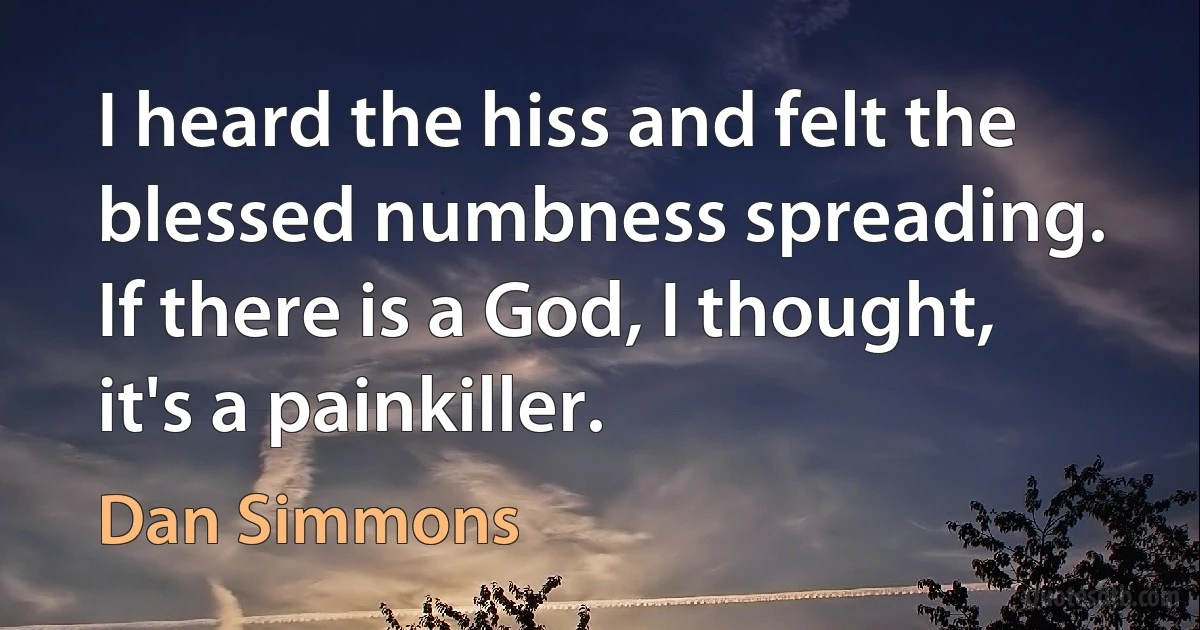 I heard the hiss and felt the blessed numbness spreading. If there is a God, I thought, it's a painkiller. (Dan Simmons)