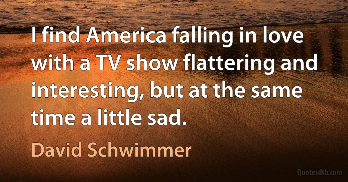 I find America falling in love with a TV show flattering and interesting, but at the same time a little sad. (David Schwimmer)