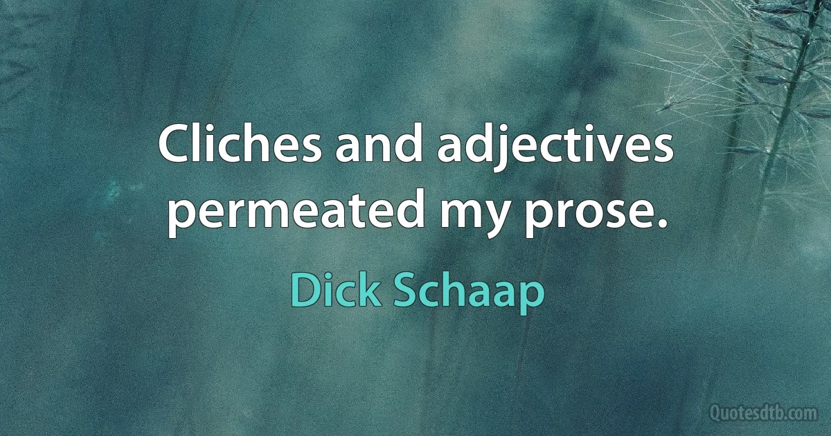 Cliches and adjectives permeated my prose. (Dick Schaap)