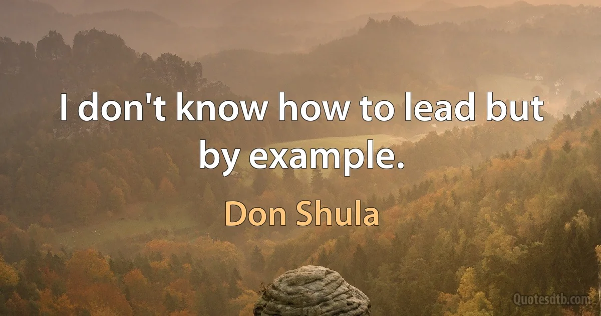 I don't know how to lead but by example. (Don Shula)