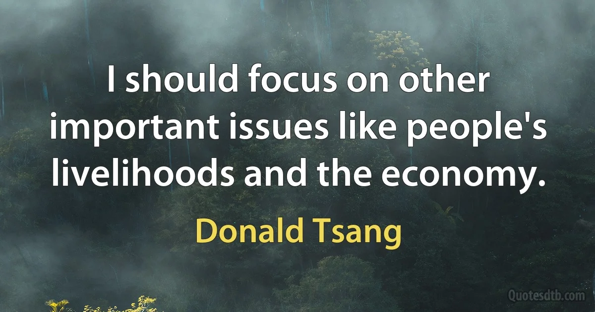 I should focus on other important issues like people's livelihoods and the economy. (Donald Tsang)