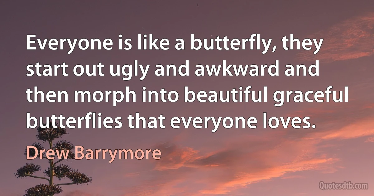 Everyone is like a butterfly, they start out ugly and awkward and then morph into beautiful graceful butterflies that everyone loves. (Drew Barrymore)