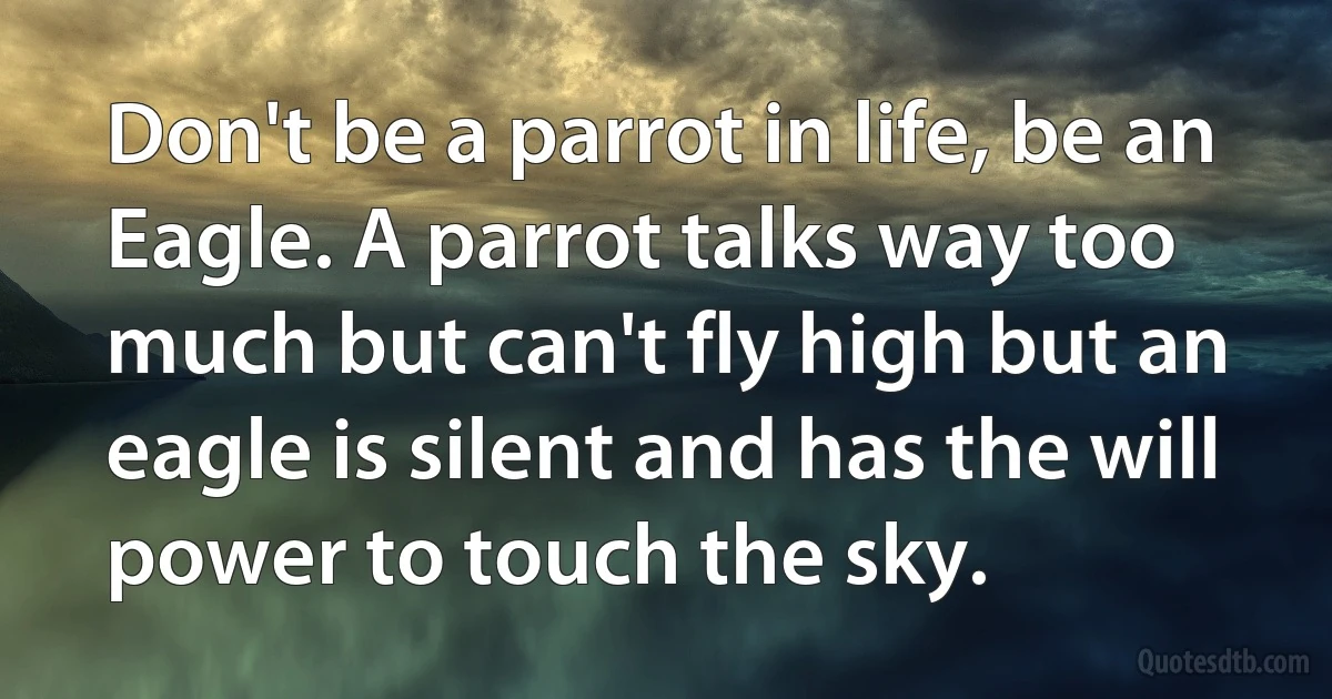 Don't be a parrot in life, be an Eagle. A parrot talks way too much but can't fly high but an eagle is silent and has the will power to touch the sky. (INZ EN)