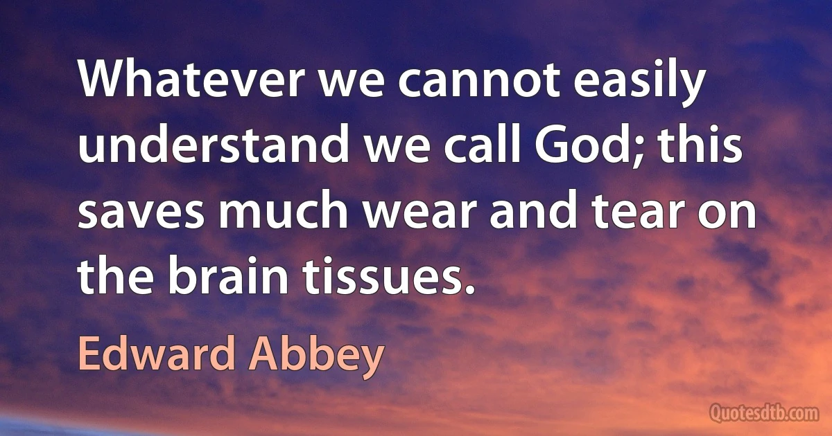 Whatever we cannot easily understand we call God; this saves much wear and tear on the brain tissues. (Edward Abbey)