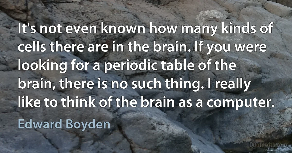 It's not even known how many kinds of cells there are in the brain. If you were looking for a periodic table of the brain, there is no such thing. I really like to think of the brain as a computer. (Edward Boyden)