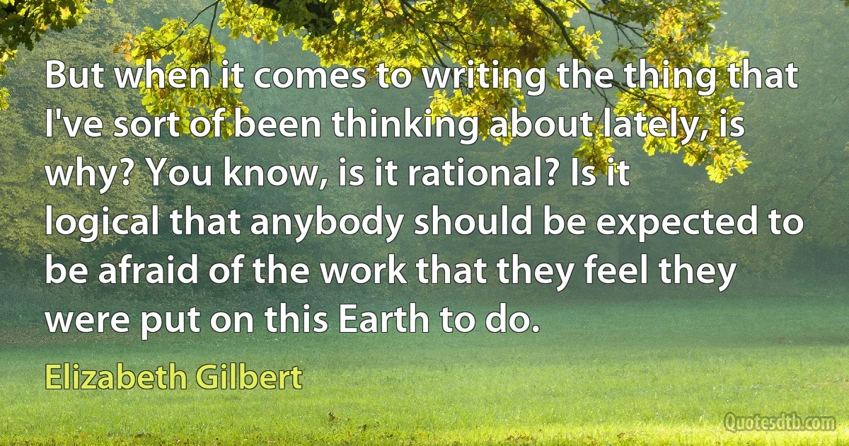 But when it comes to writing the thing that I've sort of been thinking about lately, is why? You know, is it rational? Is it logical that anybody should be expected to be afraid of the work that they feel they were put on this Earth to do. (Elizabeth Gilbert)