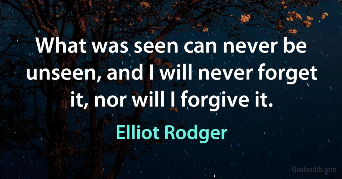 What was seen can never be unseen, and I will never forget it, nor will I forgive it. (Elliot Rodger)