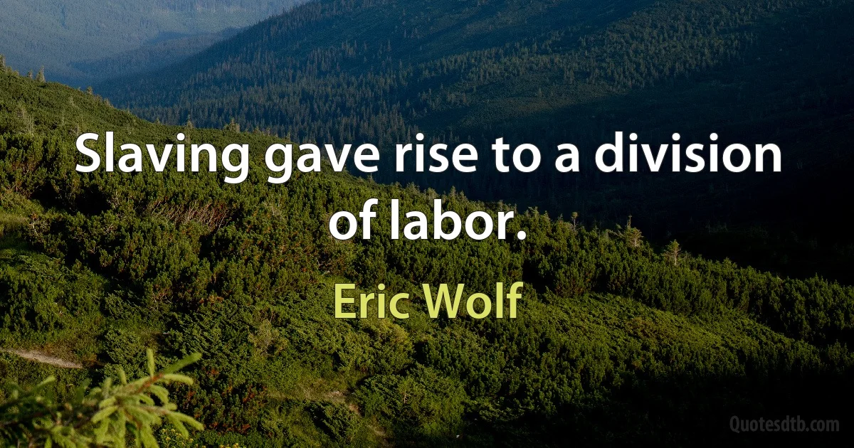 Slaving gave rise to a division of labor. (Eric Wolf)