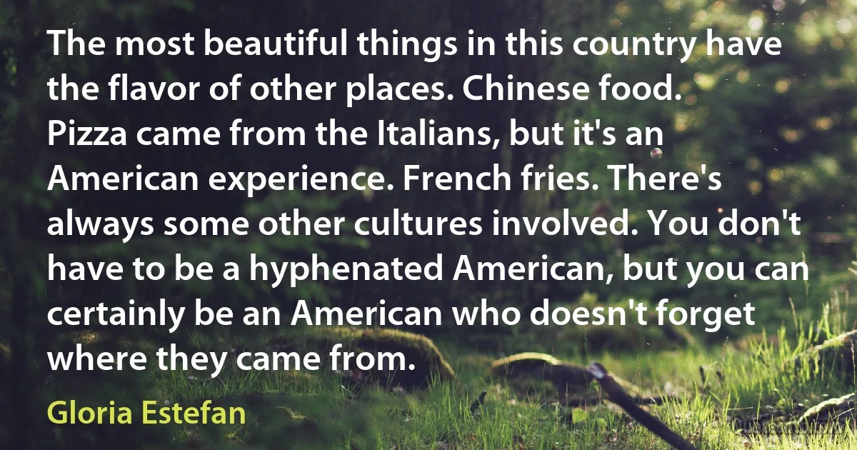 The most beautiful things in this country have the flavor of other places. Chinese food. Pizza came from the Italians, but it's an American experience. French fries. There's always some other cultures involved. You don't have to be a hyphenated American, but you can certainly be an American who doesn't forget where they came from. (Gloria Estefan)