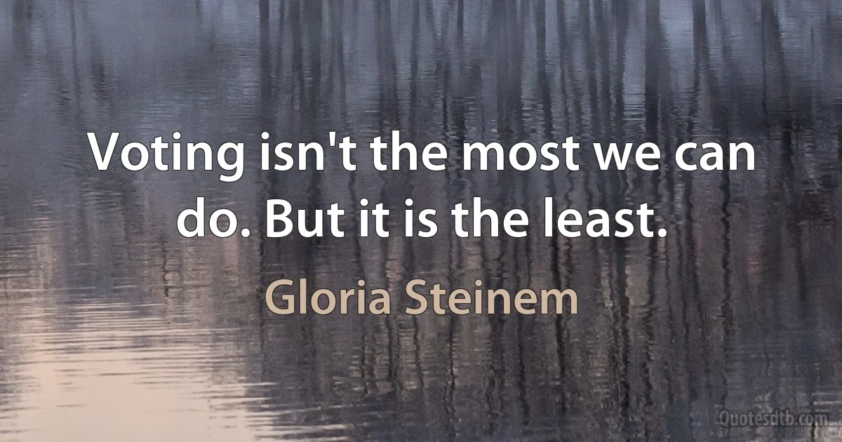 Voting isn't the most we can do. But it is the least. (Gloria Steinem)