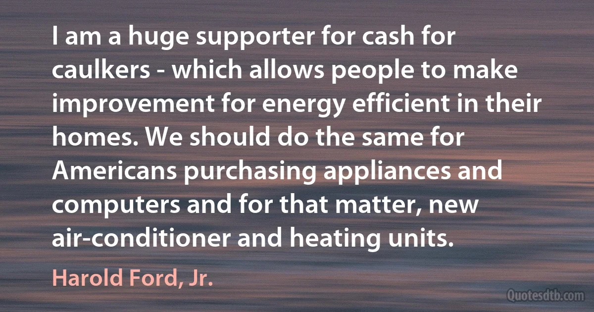 I am a huge supporter for cash for caulkers - which allows people to make improvement for energy efficient in their homes. We should do the same for Americans purchasing appliances and computers and for that matter, new air-conditioner and heating units. (Harold Ford, Jr.)