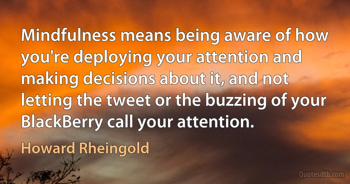 Mindfulness means being aware of how you're deploying your attention and making decisions about it, and not letting the tweet or the buzzing of your BlackBerry call your attention. (Howard Rheingold)