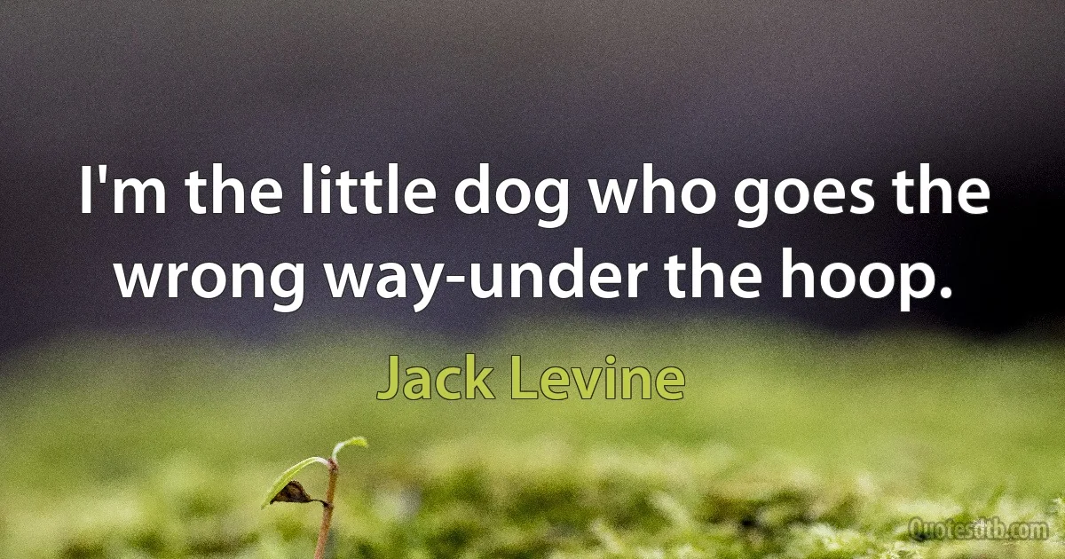 I'm the little dog who goes the wrong way-under the hoop. (Jack Levine)